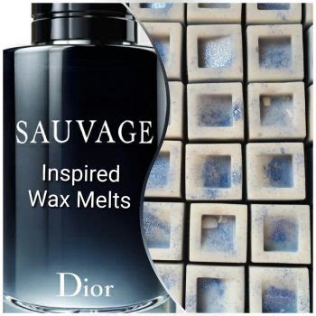 dior sauvage wax melts|Other .